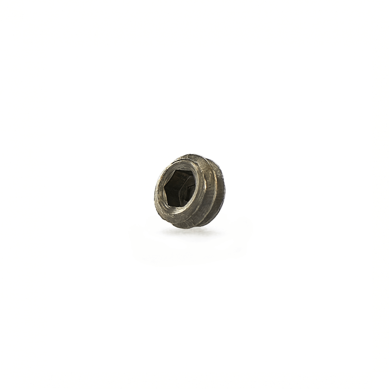 Tornillo 303 SS Socket