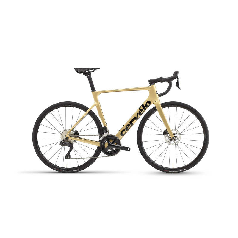 Bicicleta Cervelo Soloist Gold Dust