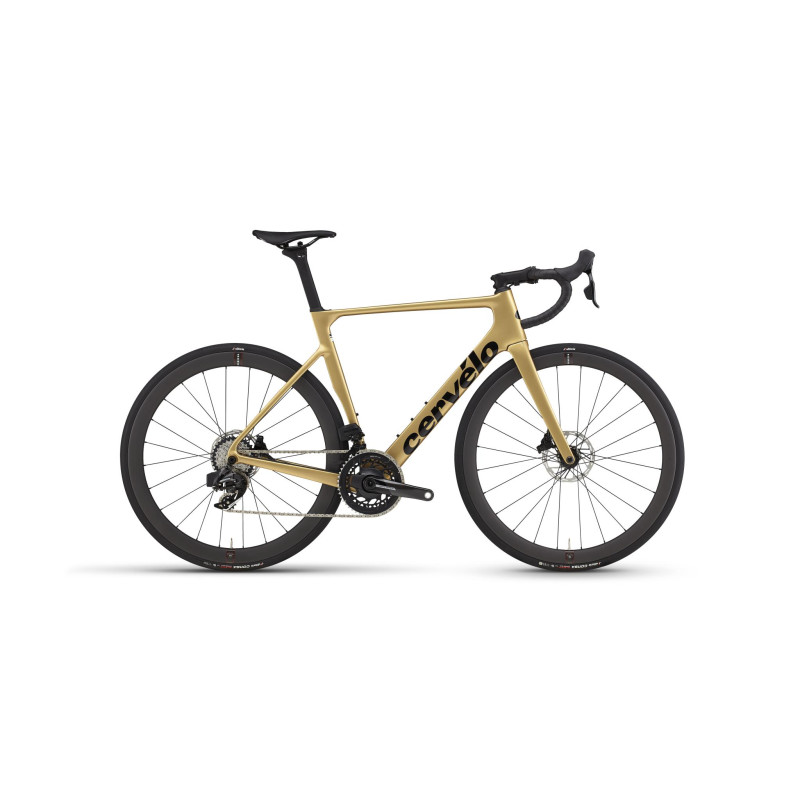 Bike Cervelo Soloist Gold Dust