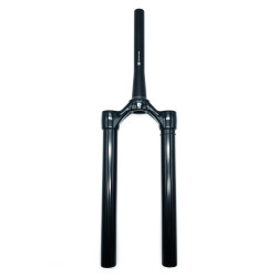 Corona FOX 38 E-bike+ 180 Max 15x110 Negro Brillo Rake 44 68HT 2021