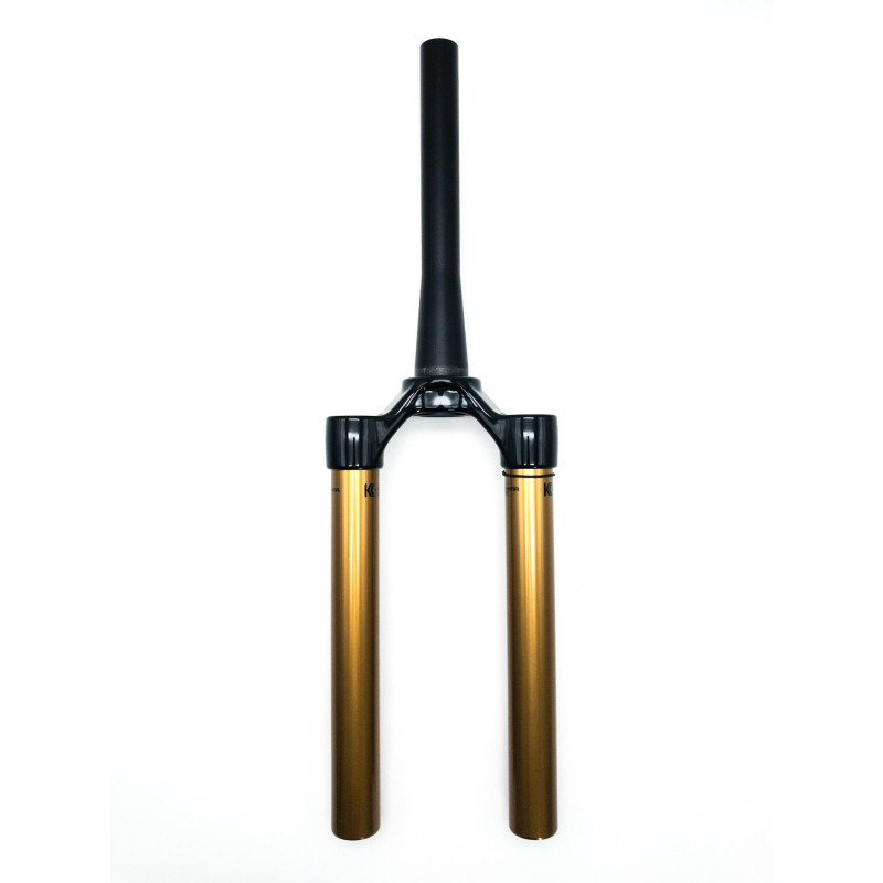 Coroa FOX 34 SC K  15x110 Shiny B. Rake 44 2022