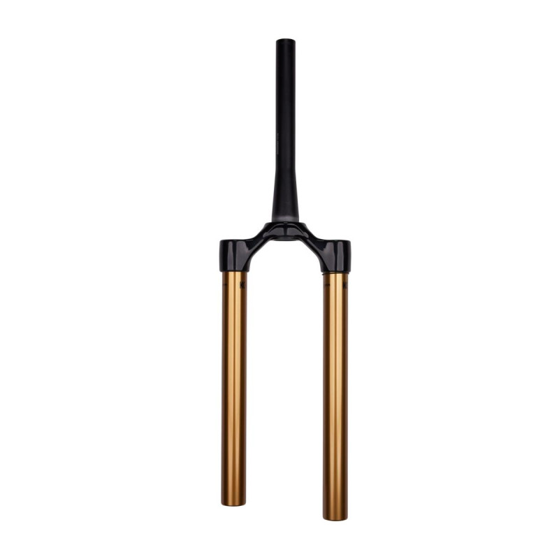 Corona FOX 36 E-OPT/29" Kashima 160 15x110 Negra Brillo 51 2023