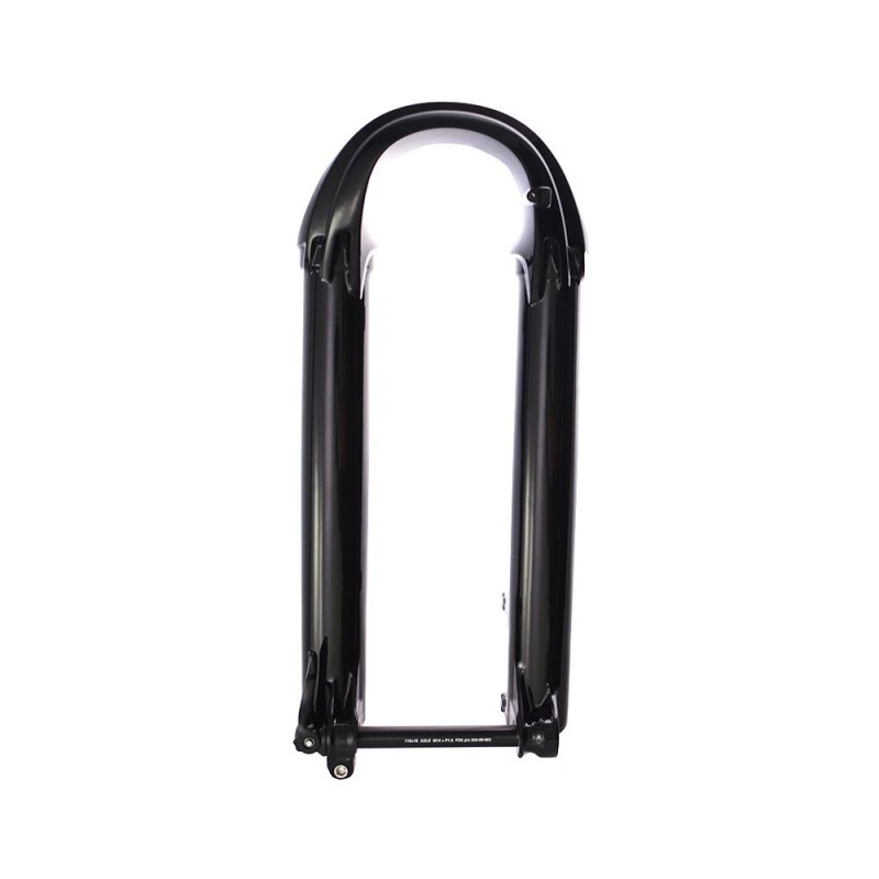 Botellas FOX 38 29" 180 15X110QR Negro brillo 2021