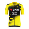 Camiseta Team Visma | Lease a Bike Wingbeat