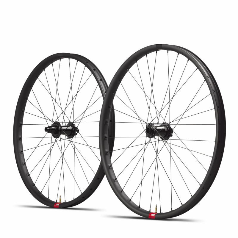 RODAS RESERVE 31|DH CARBONO